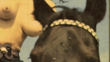 Le Nonne Selvagge Si Comportano In Modo Cattivo Con I Loro Animali Domestici